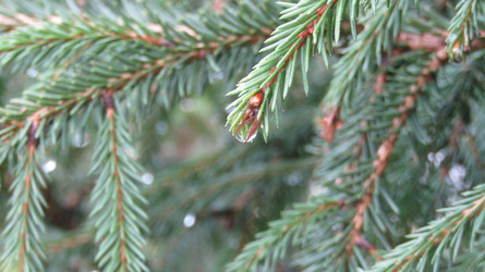 Similar image 21615228