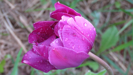 Similar image 21615229