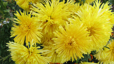 Similar image 21611879