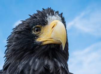 Similar image 21611110