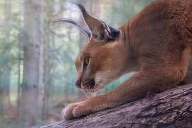 Similar image 21609232