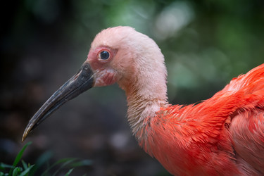 Similar image 21609233