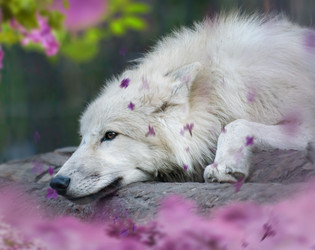 Similar image 21611111