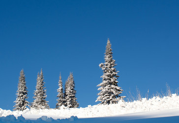 Similar image 21611112