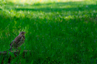 Similar image 21611114