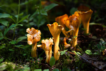 Similar image 21611116