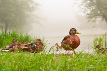 Similar image 21609234