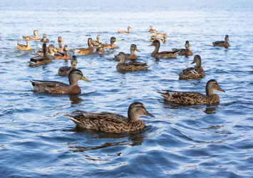 Similar image 21609236