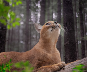 Similar image 21609239