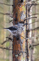 Similar image 21611119