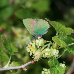 Similar image 21611121