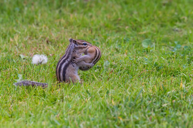 Similar image 21611122