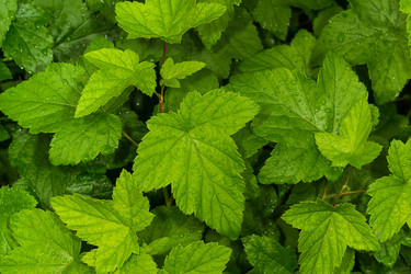 Similar image 21611125