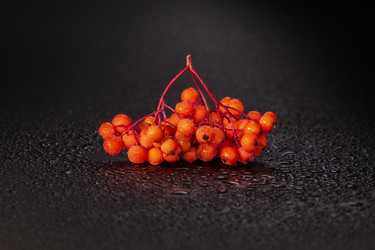 Similar image 21611132