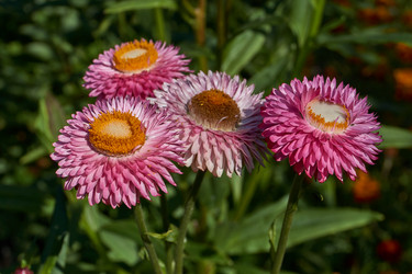 Similar image 21609241