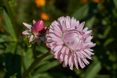 Similar image 21609243