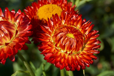 Similar image 21609244