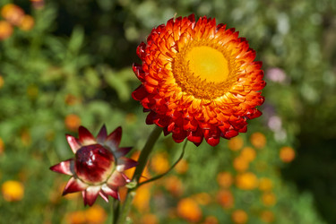 Similar image 21609248