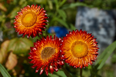 Similar image 21609249