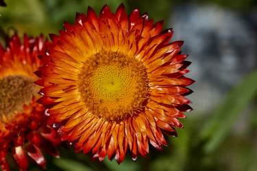 Similar image 21609250