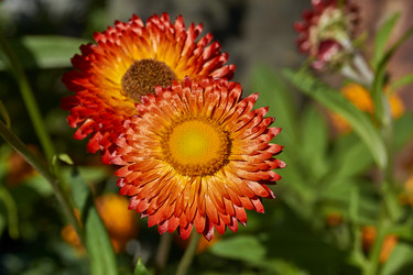 Similar image 21609251