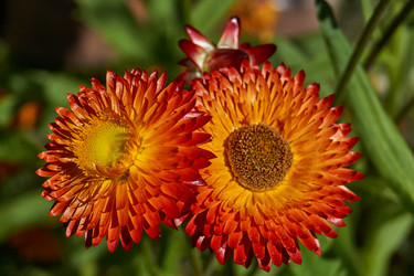 Similar image 21609252