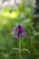 Similar image 21611133