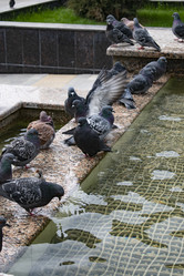 Similar image 21611134