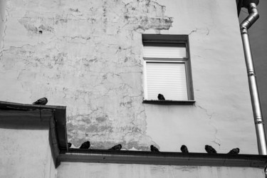 Similar image 21611137