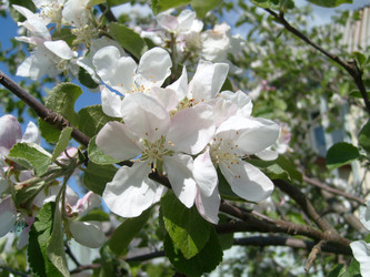 Similar image 21627564