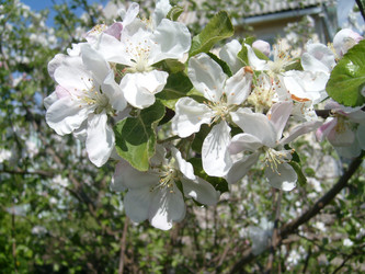 Similar image 21627586