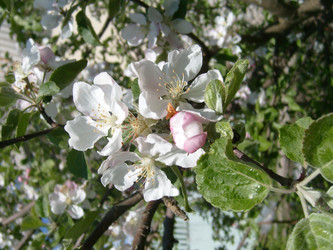 Similar image 21627587