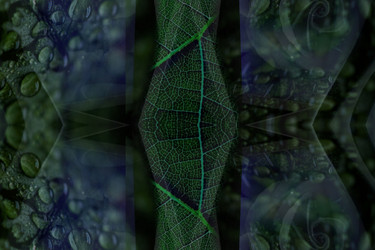 Similar image 21617463