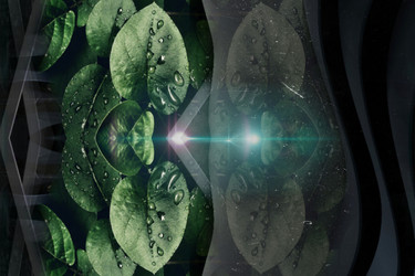 Similar image 21617467