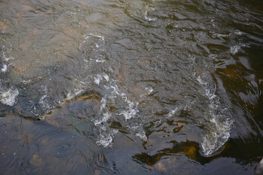 Similar image 21609257