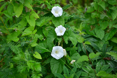 Similar image 21609259