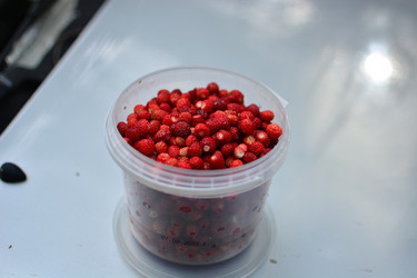 Similar image 21609261