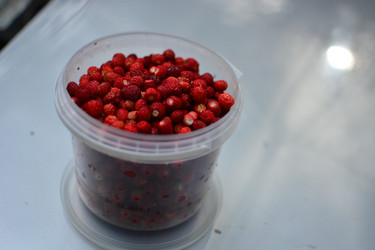 Similar image 21609262