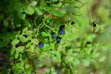 Similar image 21609263