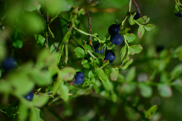 Similar image 21609264