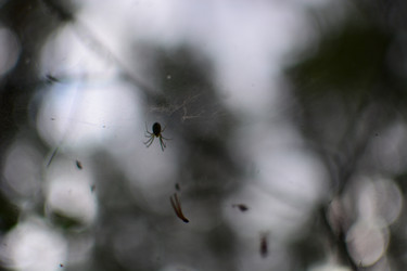 Similar image 21609265