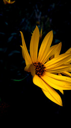 Similar image 21609266