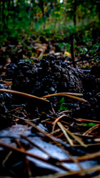 Similar image 21609270