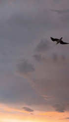 Similar image 21609276