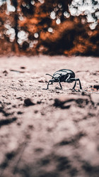 Similar image 21609277