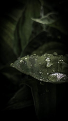 Similar image 21609278