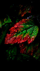 Similar image 21609294