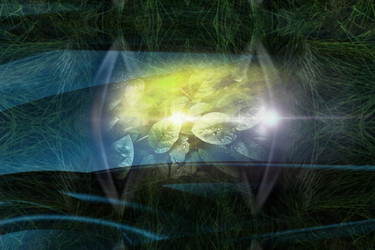 Similar image 21611889