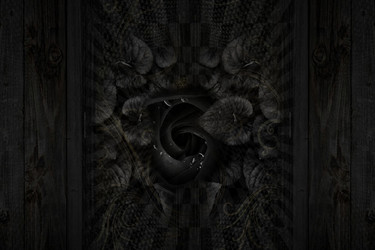 Similar image 21611157