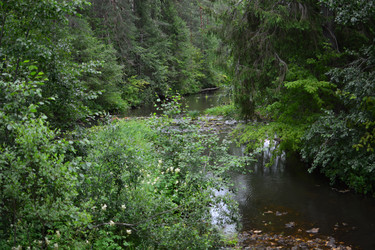 Similar image 21609305